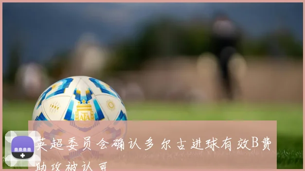 英超委员会确认多尔古进球有效B费助攻被认可
